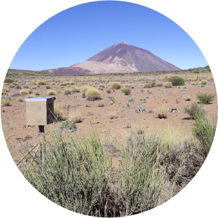 Learn about the Teide Lab project and the meteorological phenomena to be found on Mount Teide