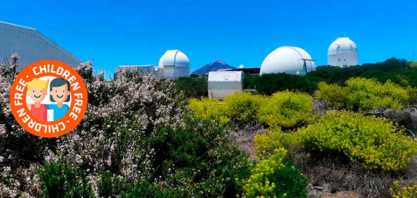 Guided daytime visit to the Teide observatory