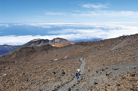 Tutto ciò che si vede dopo essere saliti sul Teide con la Funivia Tutto ciò che si vede dopo essere saliti sul Teide con la Funivia