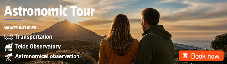 Excursion to Teide with a visit of the Observatory and stargazing