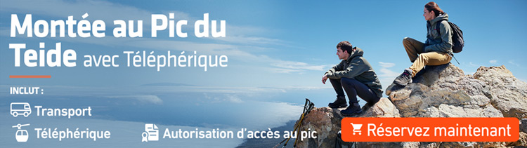 Montée au Pic du Teide avec Téléphérique