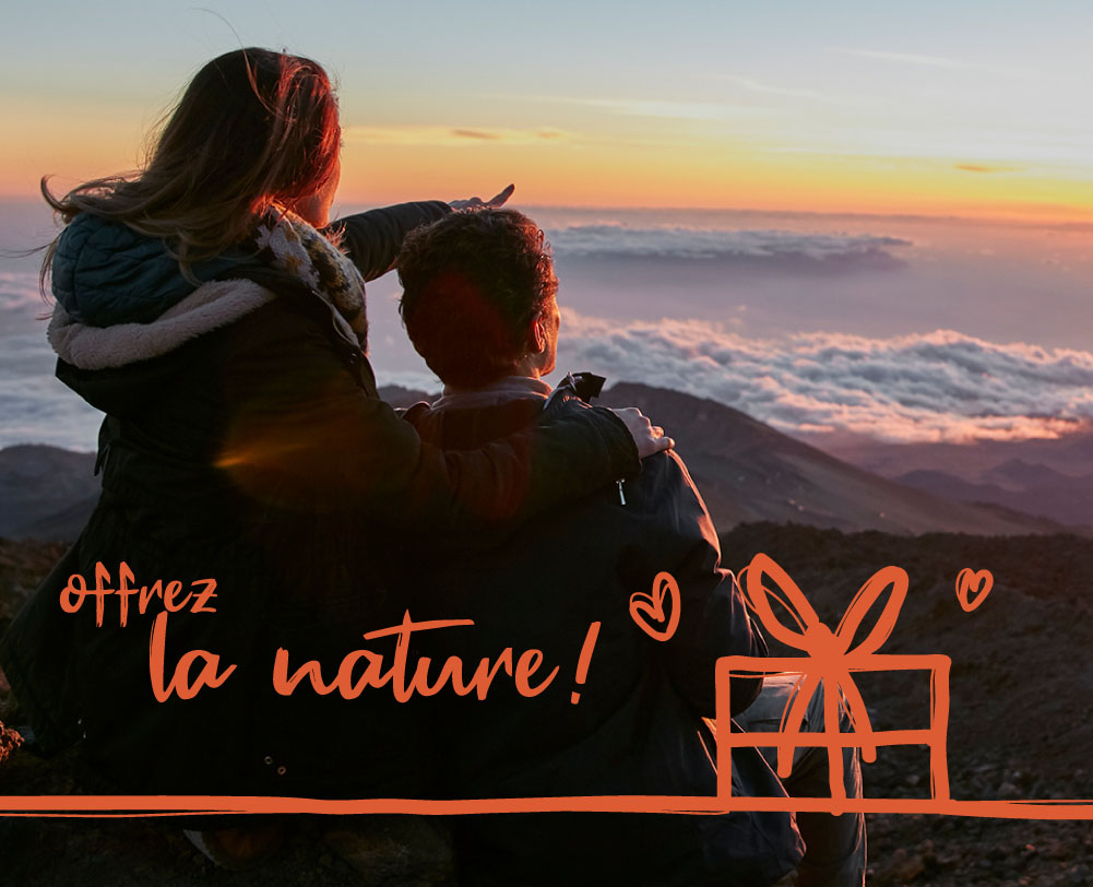 Couple qui profite de son cadeau et admire la nature